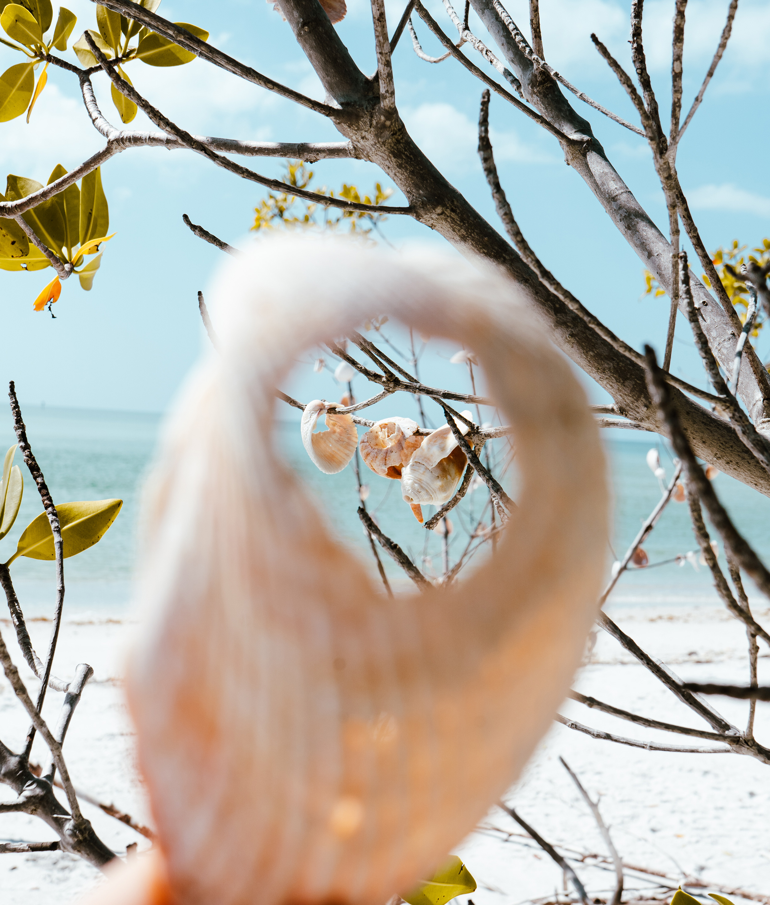 St. Pete Island Boat Cruise | Egmont Key Boat Tour | Shell Key Island Tour